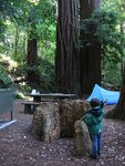 pic_06854.jpg
