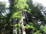 pic_06857.jpg