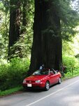 pic_06858.jpg