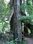 pic_06859.jpg