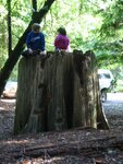 pic_06860.jpg