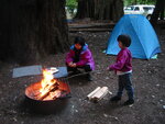 pic_06861.jpg