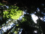 pic_06863.jpg
