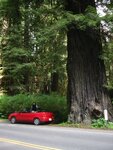 pic_06864.jpg