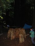 pic_06866.jpg