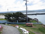 pic_06868.jpg