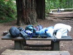 pic_06870.jpg