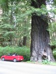 pic_06872.jpg