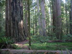 pic_06873.jpg