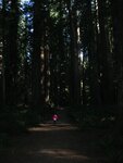 pic_06874.jpg