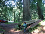 pic_06875.jpg