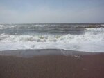 pic_06877.jpg