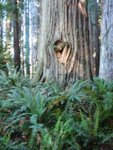 pic_06878.jpg