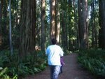 pic_06879.jpg