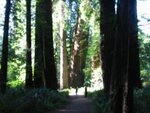 pic_06880.jpg