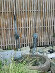 pic_06991.jpg