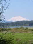 pic_06992.jpg