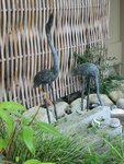 pic_07003.jpg