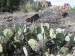 pic_07040.jpg