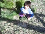pic_07042.jpg