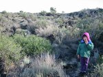 pic_07046.jpg