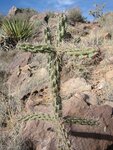 pic_07047.jpg