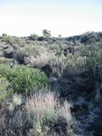 pic_07048.jpg
