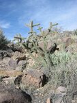 pic_07051.jpg