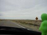 pic_07056.jpg