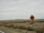 pic_07062.jpg