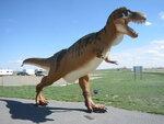 pic_07070.jpg
