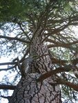 pic_07083.jpg
