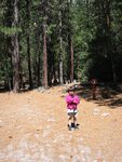 pic_07086.jpg