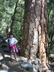 pic_07088.jpg