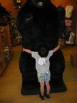 pic_07092.jpg