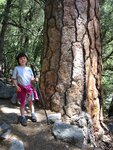 pic_07093.jpg