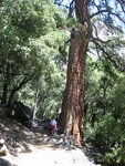 pic_07103.jpg