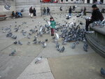 pic_07270.jpg
