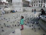 pic_07271.jpg