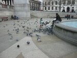 pic_07283.jpg