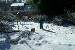 pic_01099.jpg