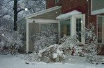 pic_01226.jpg
