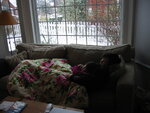 pic_01327.jpg