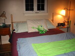 pic_01420.jpg