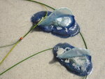pic_07420.jpg