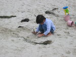 pic_07438.jpg