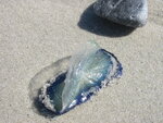 pic_07447.jpg