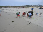 pic_07453.jpg