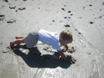pic_07454.jpg