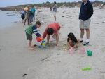 pic_07456.jpg
